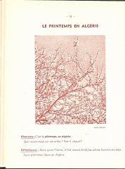 GEO CE1 CE2 DES ANNEES 50 PAGE (16)